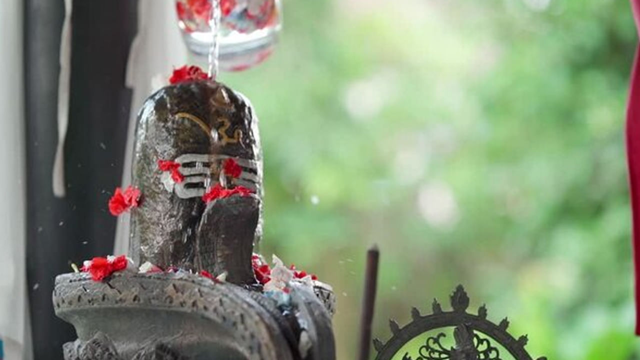 అంతే కాకుండా శివుని పూజలో నల్ల నువ్వులకు ప్రత్యేక ప్రాముఖ్యత ఉందని భావిస్తారు. అటువంటి పరిస్థితిలో, నాగ పంచమి రోజున శివుడికి నల్ల నువ్వులు సమర్పించడం వల్ల జీవితంలోని అనేక అడ్డంకులు తొలగిపోతాయి,ర్థిక పురోగతి కూడా వస్తుందంట.