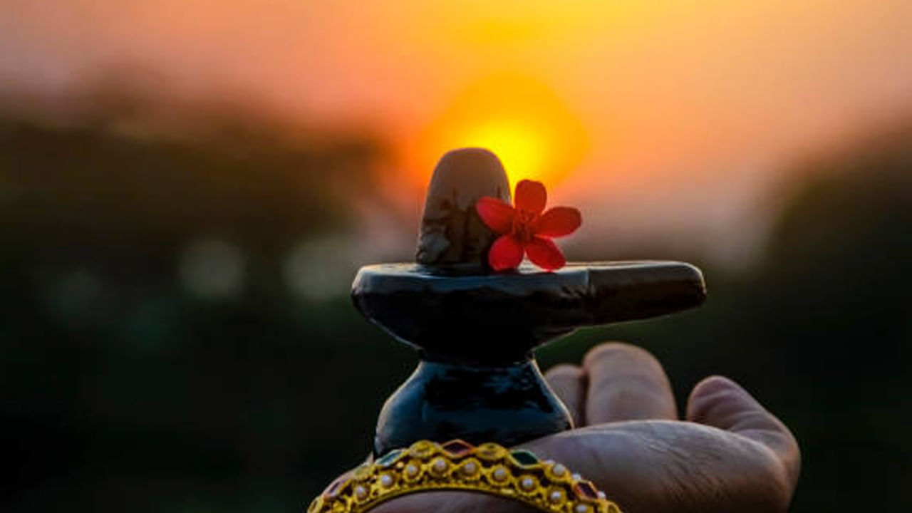 అలాగే శివుడికి నెయ్యి, చెరుకు రసం అంటే చాలా ఇష్టం అంట. అందువలన నాగపంచమి రోజున శివలింగానికి నెయ్యి, చెరుకు రసం సమర్పించడం చాలా మంచిదని చెబుతున్నారు జ్యోతిష్య శాస్త్ర నిపుణులు.