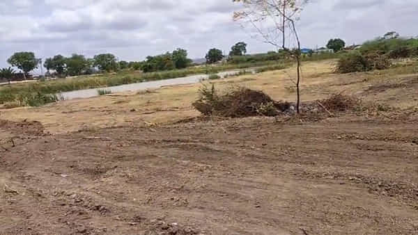 Tallapaka: తాళ్లపాక చెరువులో కంప చెట్లు తొలగిస్తుండగా బయపడింది చూసి ఆశ్చర్యపోయిన జనం