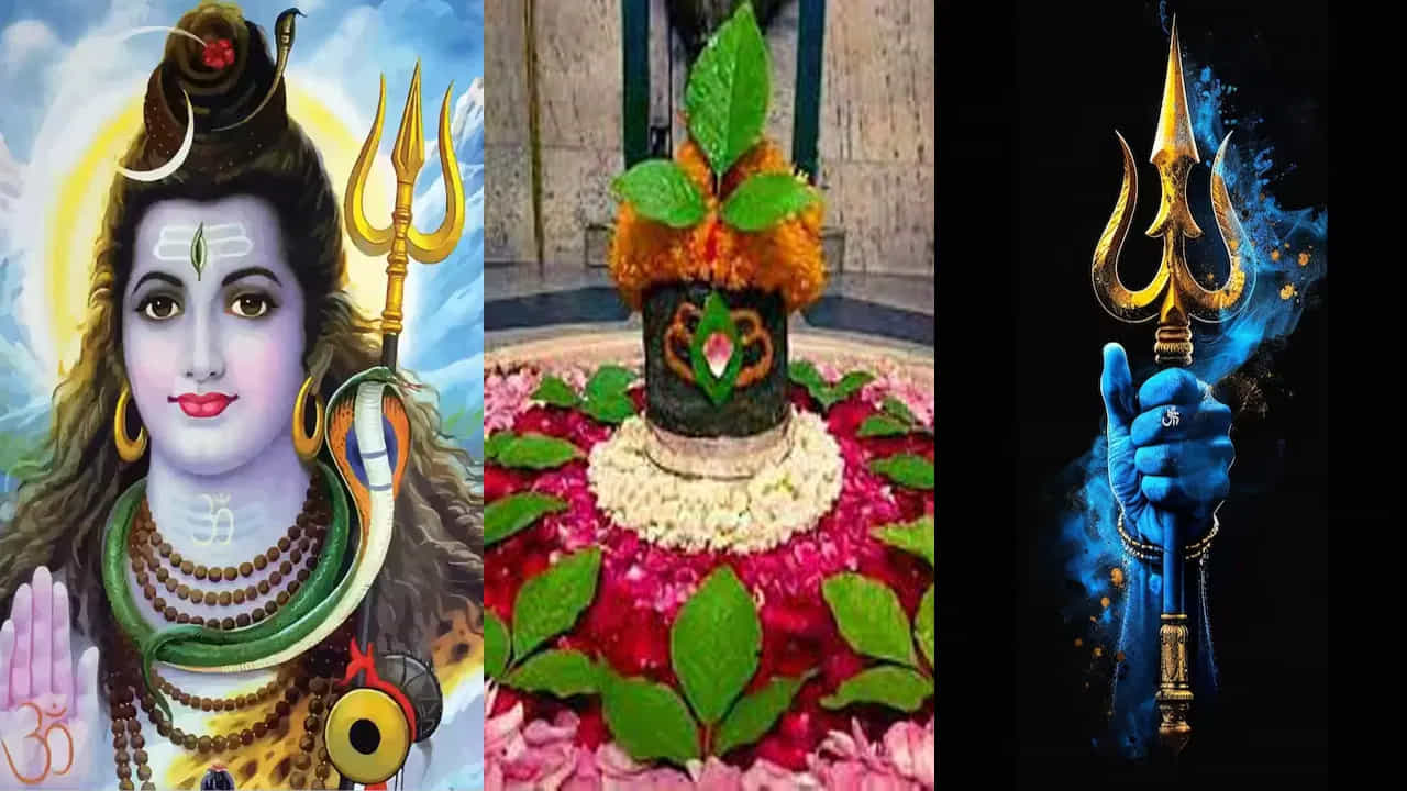 శ్రావణ మాసంలో శివుడిని పూజించే సమయంలో ఎట్టిపరిస్థితుల్లో విరిగిన శివలింగం లేదా, చిరిగి ఉన్న శివుడి చిత్రాన్ని పూజించకూడదంట. శివలింగం విరిగిపోయినట్లు ఉన్నా లేదా చిత్ర చిరిగిపోయినా, అది శివుడికి ఆగ్రహం తెప్పిస్తుందంట. అలాగే వాస్తు శాస్త్ర ప్రకారం ఇలా పూజ చేయడం వలన అశుభ ఫలితాలు కలగడమే కాకుండా, ఇంట్లో సమస్యలు ఎక్కువ అవుతాయంట.