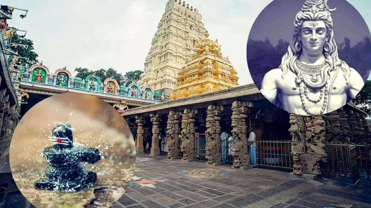  అదే విధంగా శ్రావణ మాసంలో శివుడికి పూజ చేసేటప్పుడు తప్పకుండా నియమ నిబంధనలు పాటించాలి. ముఖ్యంగా రోజూ ఉదయం స్నానం ఆచరించిన తర్వాతనే శివుడిని పూజించాలంట. స్నానం చేయకుండా పూజించడం అస్సలే మంచిది కాదంట. వాస్తు శాస్త్ర ప్రకారం, స్నానం చేయకుండా శివయ్యను పూజించడం వలన అది అసంపూర్ణం అవుతుంది. దీని వలన పాపం చుట్టుకుంటుందంట.