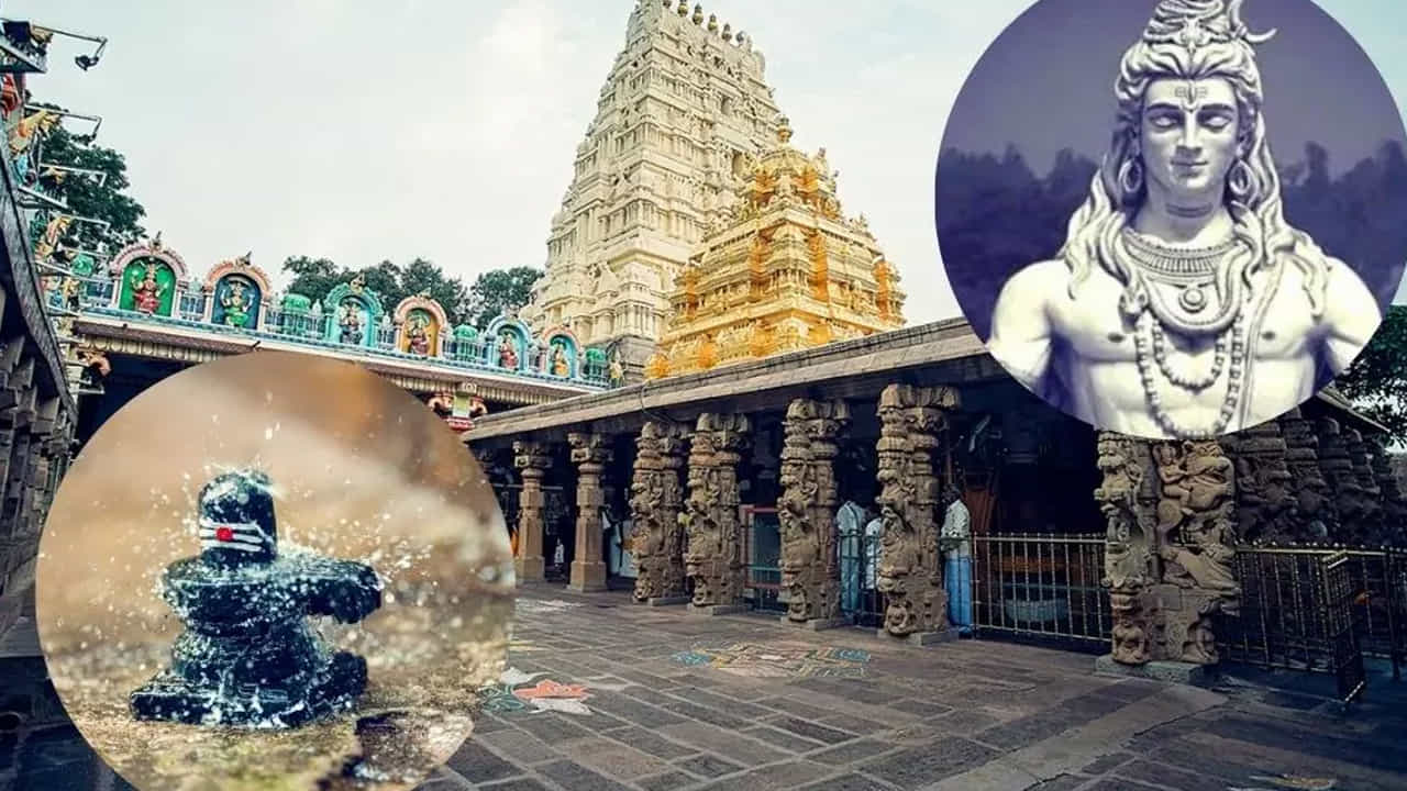 అదే విధంగా శ్రావణ మాసంలో శివుడికి పూజ చేసేటప్పుడు తప్పకుండా నియమ నిబంధనలు పాటించాలి. ముఖ్యంగా రోజూ ఉదయం స్నానం ఆచరించిన తర్వాతనే శివుడిని పూజించాలంట. స్నానం చేయకుండా పూజించడం అస్సలే మంచిది కాదంట. వాస్తు శాస్త్ర ప్రకారం, స్నానం చేయకుండా శివయ్యను పూజించడం వలన అది అసంపూర్ణం అవుతుంది. దీని వలన పాపం చుట్టుకుంటుందంట.