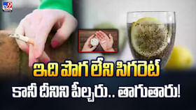ఇది పొగ లేని సిగరెట్ కానీ దీనిని పీల్చరు.. తాగుతారు వీడియో ఇది పొగ లేని సిగరెట్ కానీ దీనిని పీల్చరు.. తాగుతారు వీడియో