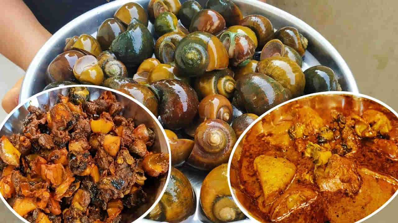 Food: ఈ నత్తల కూర వరల్డ్ ఫేమస్.. ఇంతకీ వీటి స్పెషాలిటీ ఏంటో తెలుసా?