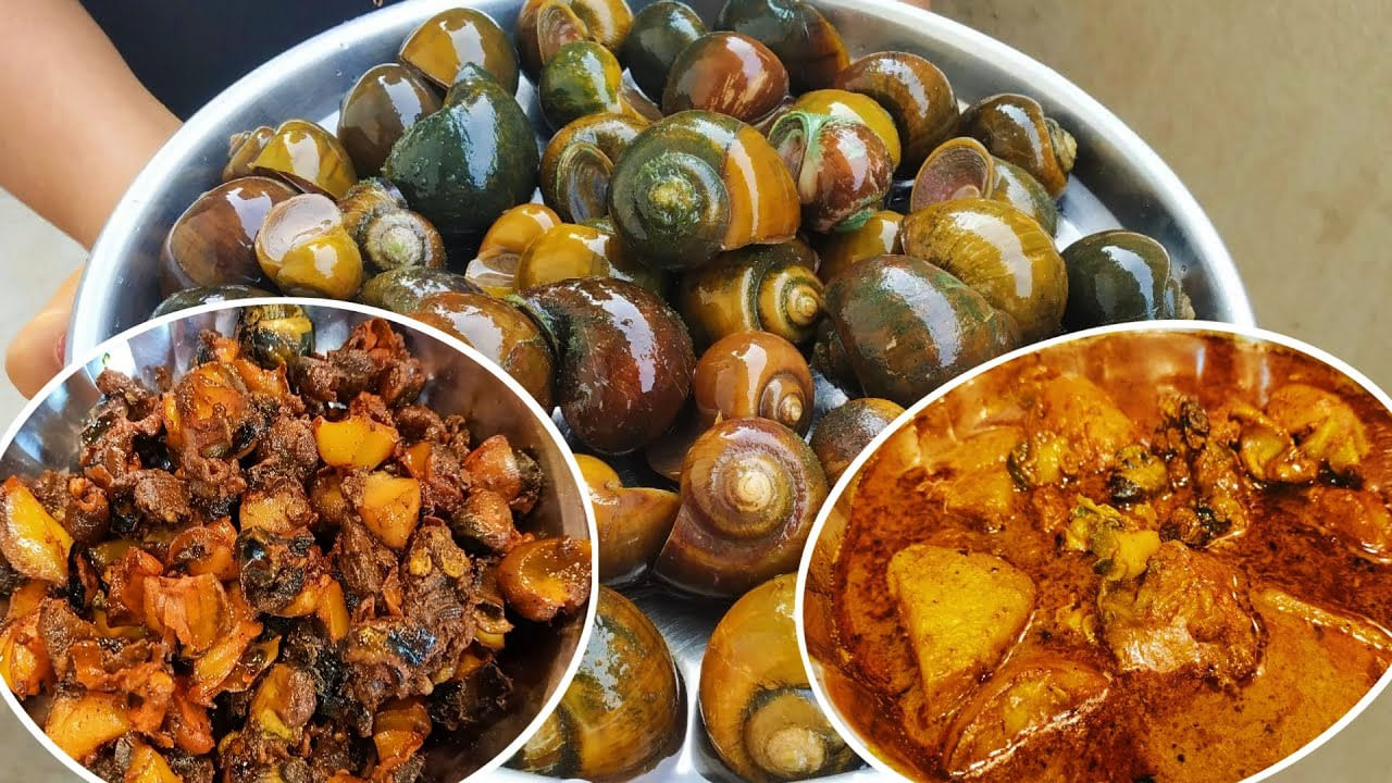 Food: ఈ నత్తల కూర వరల్డ్ ఫేమస్.. ఇంతకీ వీటి స్పెషాలిటీ ఏంటో తెలుసా?