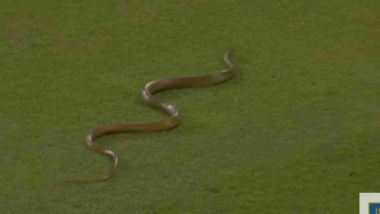 SL vs BAN: లైవ్ మ్యాచ్‌లో గందరగోళం.. స్పెషల్ అతిథి ఎంట్రీతో ఆగిన మ్యాచ్..