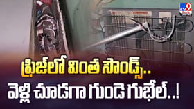 ఫ్రిజ్లో వింత సౌండ్స్.. వెళ్లి చూడగా గుండె గుభేల్ ఫ్రిజ్లో వింత సౌండ్స్.. వెళ్లి చూడగా గుండె గుభేల్