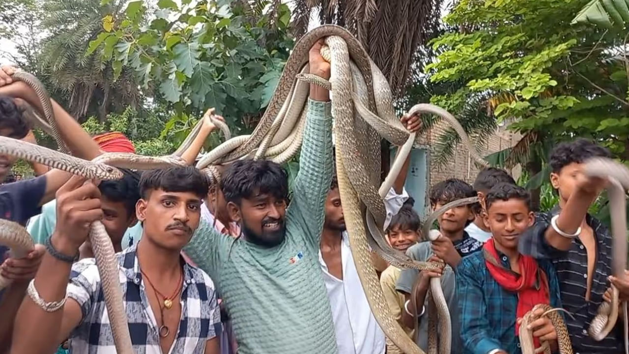 Snake Festival: ఓరీ దేవుడో.. ఇదెక్కడి ప్రాణాంతక జాతర బాబోయ్.. విషపూరిత పాముల్ని మెడలో వేసుకుని విన్యాసాలు..