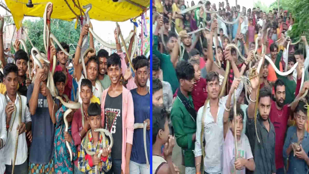 Snake Festival: 300 ఏళ్ళనాటి సాంప్రదాయం.. పాములను మెడలో ధరించి ఊరేగిస్తూ పూజలు.. ఎక్కడంటే..