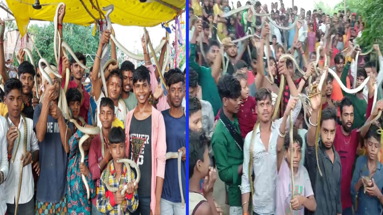 Snake Festival: 300 ఏళ్ళనాటి సాంప్రదాయం.. పాములను మెడలో ధరించి ఊరేగిస్తూ పూజలు.. ఎక్కడంటే..