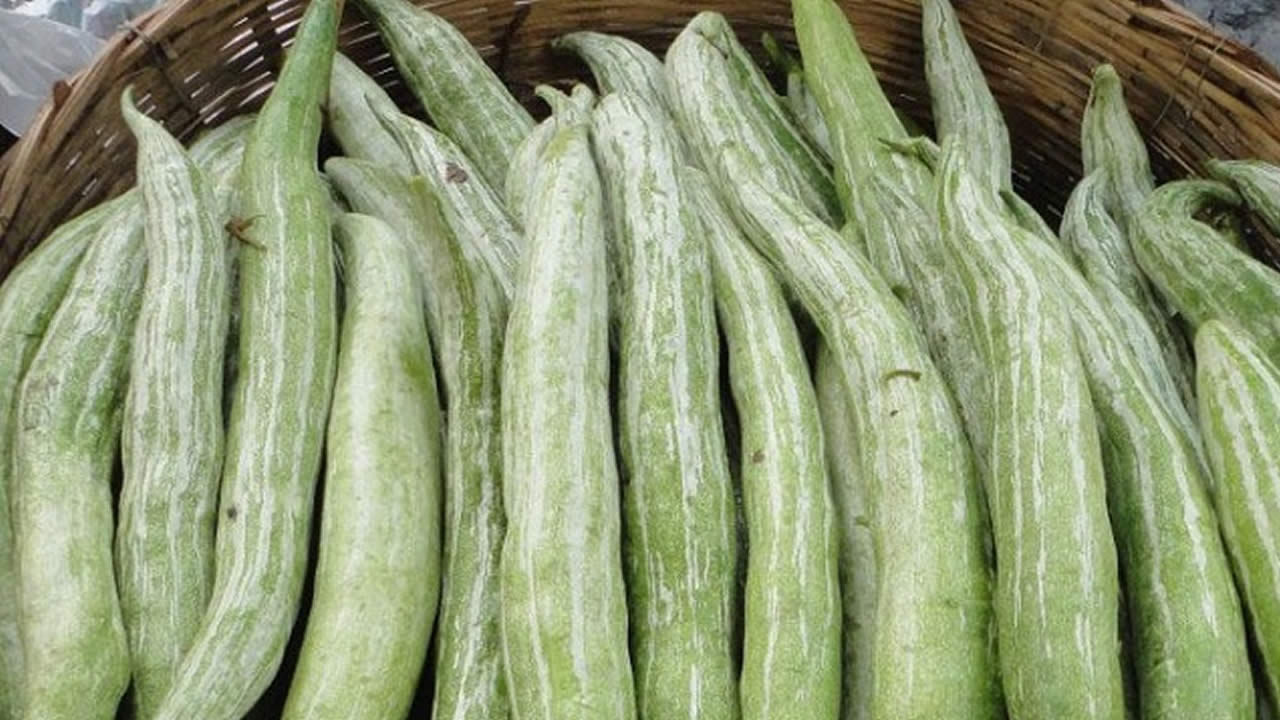 క్యాన్సర్ రాకుండా నిరోధించే గుణాలు పోట్లకాయలో ఉన్నాయి. పొట్లకాయలను తరచుగా తినడం వల్ల కీళ్ల నొప్పులు, వాపుల సమస్యలు ఉండవు. ఆర్థరైటిస్, గౌట్ వంటి సమస్యలు ఉన్నవారికి ఉపశమనం లభిస్తుంది. జ్వరం వచ్చిన వారు, కామెర్లు అయిన వారు ఈ కాయలను తింటుంటే త్వరగా కోలుకుంటారు.