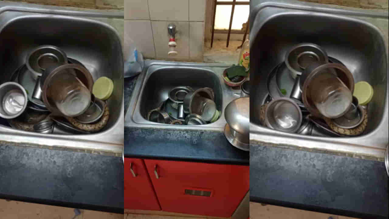 వంటింటి సింక్‌లోంచి అదేపనిగా శబ్ధాలు.. చిరాకుతో చూసిన మహిళకు షాకింగ్‌ సీన్ ఎదురైంది..