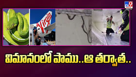 ఆకాశంలో ఉండగా విమానంలో వింత శబ్దాలు.. ఇదేం ఖర్మ రా నాయన..! ఆకాశంలో ఉండగా విమానంలో వింత శబ్దాలు.. ఇదేం ఖర్మ రా నాయన..!