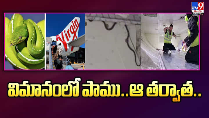 ఆకాశంలో ఉండగా విమానంలో వింత శబ్దాలు.. ఇదేం ఖర్మ రా నాయన..! ఆకాశంలో ఉండగా విమానంలో వింత శబ్దాలు.. ఇదేం ఖర్మ రా నాయన..!