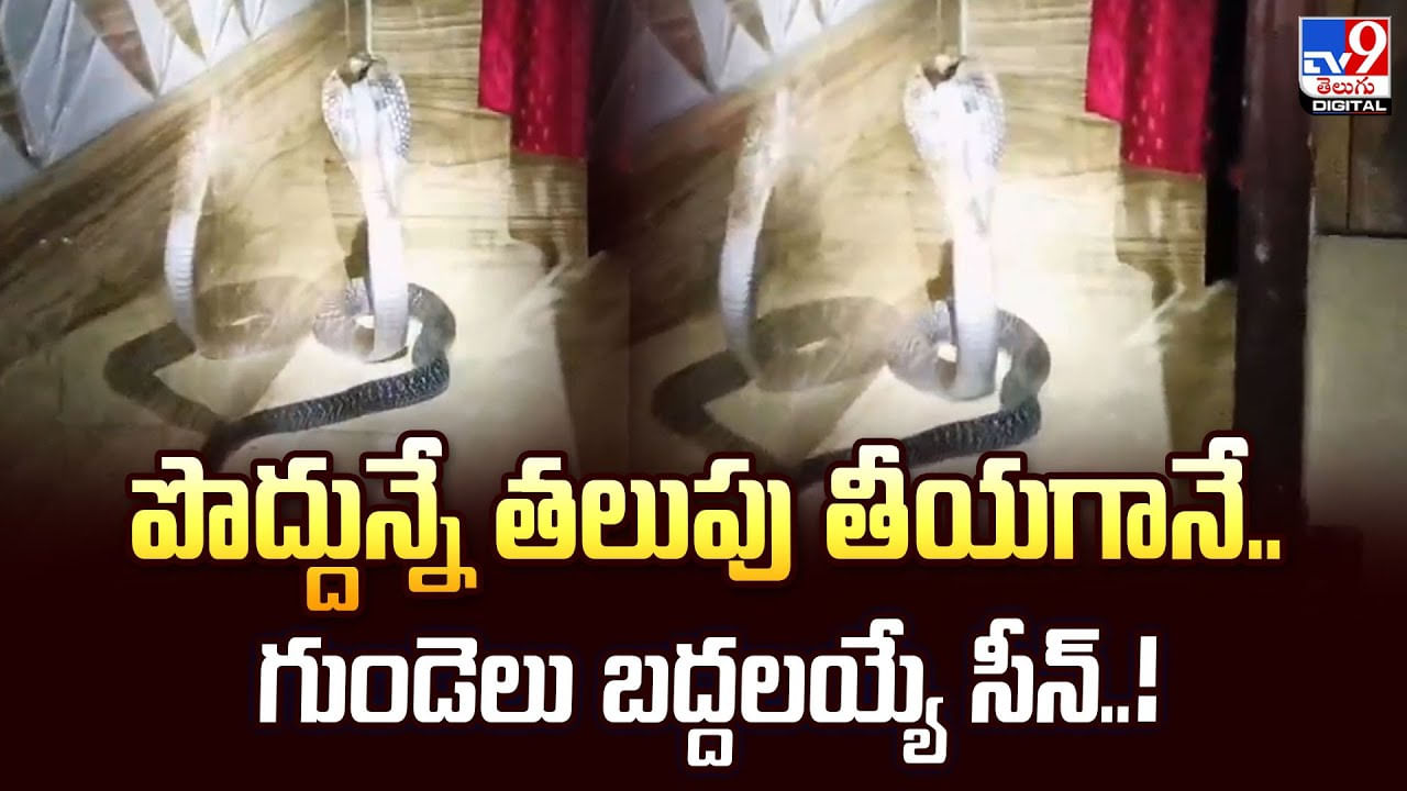 పొద్దున్నే తలుపు తీయగానే.. గుండెలు బద్దలయ్యే సీన్ వీడియో