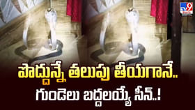 పొద్దున్నే తలుపు తీయగానే.. గుండెలు బద్దలయ్యే సీన్ వీడియో పొద్దున్నే తలుపు తీయగానే.. గుండెలు బద్దలయ్యే సీన్ వీడియో