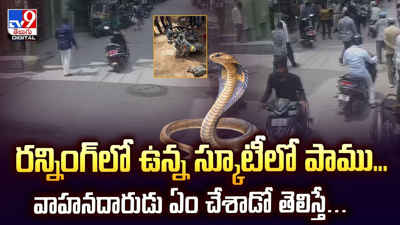 రన్నింగ్‌లో ఉన్న స్కూటీలో పాము.. వాహనదారుడు ఏం చేశాడో తెలిస్తే