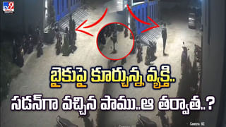 బొంగులో చికెన్‌ కాదు.. వెదురు బొంగుల కూర తింటే వదిలిపెట్టరు