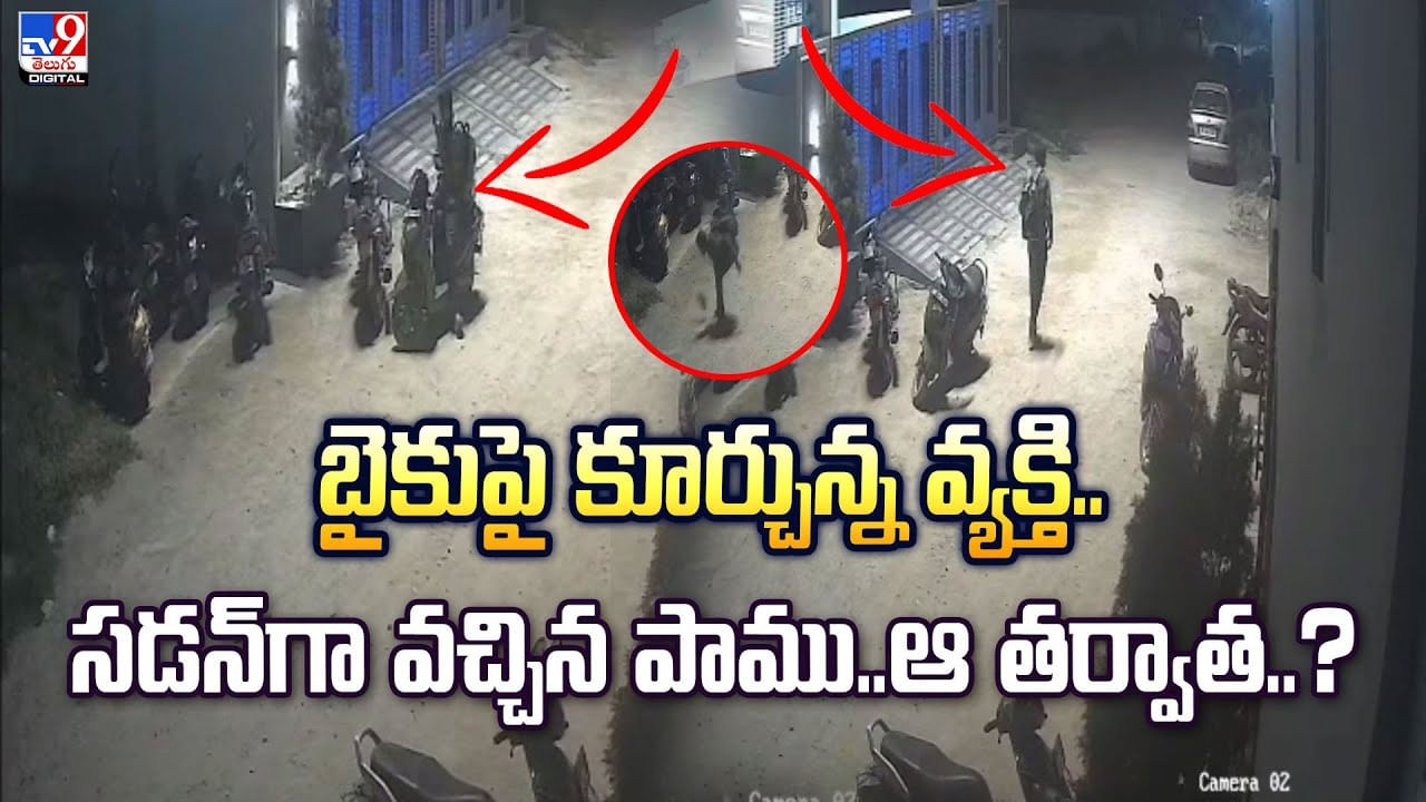 బైకుపై కూర్చున్న వ్యక్తి.. సడన్‌గా వచ్చిన పాము.. ఆ తర్వాత..?
