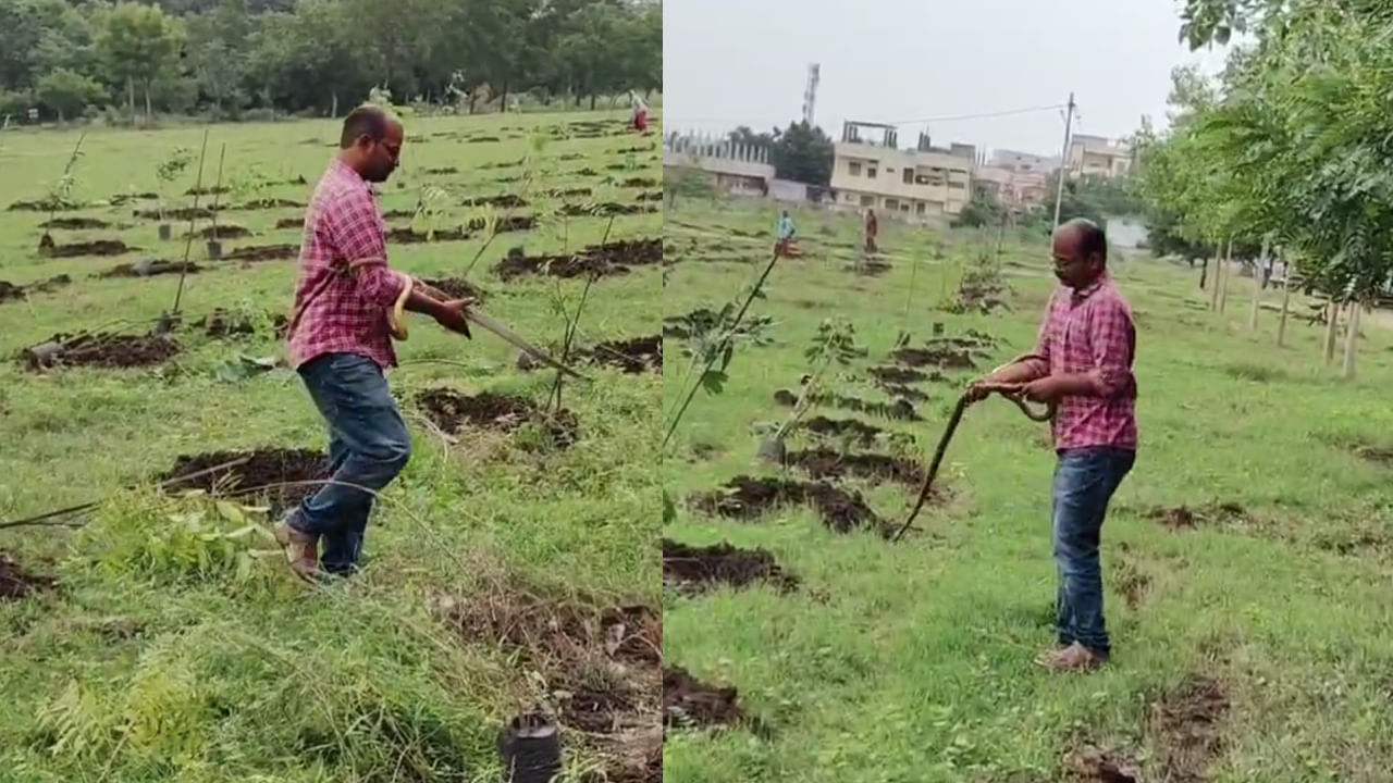 Viral Video: ఏంటన్నా అదేమైన కట్టే పుల్ల అనుకుంటివా.. ఇట్టే పట్టేశావ్.. వీడియో చూస్తే దడ పుట్టాల్సిందే..