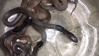 Viral Video: జస్ట్‌ మిస్‌ బ్రో… ఈ తప్పుకు బాధ్యులెవరు..? సోషల్‌ మీడియాలో వైరల్‌ వీడియోపై నెటిజన్స్‌ ఫైర్‌