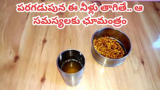 Pumpkin Seeds: వ్యాధులను తరిమికొట్టే గుమ్మడి గుంజలు.. ప్రయోజనాలు తెలిస్తే ఆశ్చర్యపోవాల్సిందే!