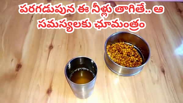 Empty Stomach: పరగడుపున ఈ నీళ్లు తాగితే పంచామృతమే.. ఆ సమస్యలకు ఛూమంత్రం వేసినట్లే..