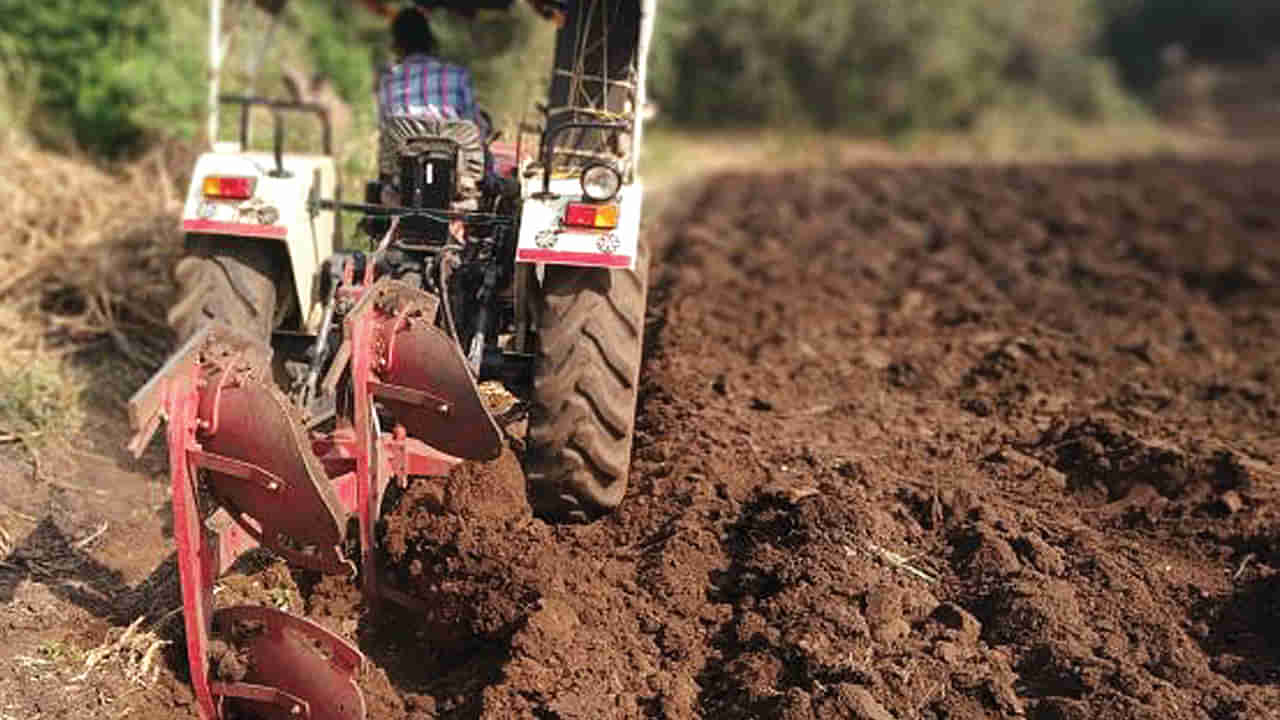 Rangareddy District: రంగారెడ్డి నేలలో అద్భుతం - క్యాన్సర్ విరుగుడు బ్యాక్టీరియా గుర్తింపు