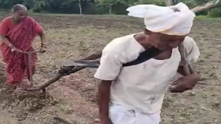 డెమో బాగుంది మాస్టారూ.! చేపలను కొయ్యడం ఎలా.. వీడియో చూసేయండి..!