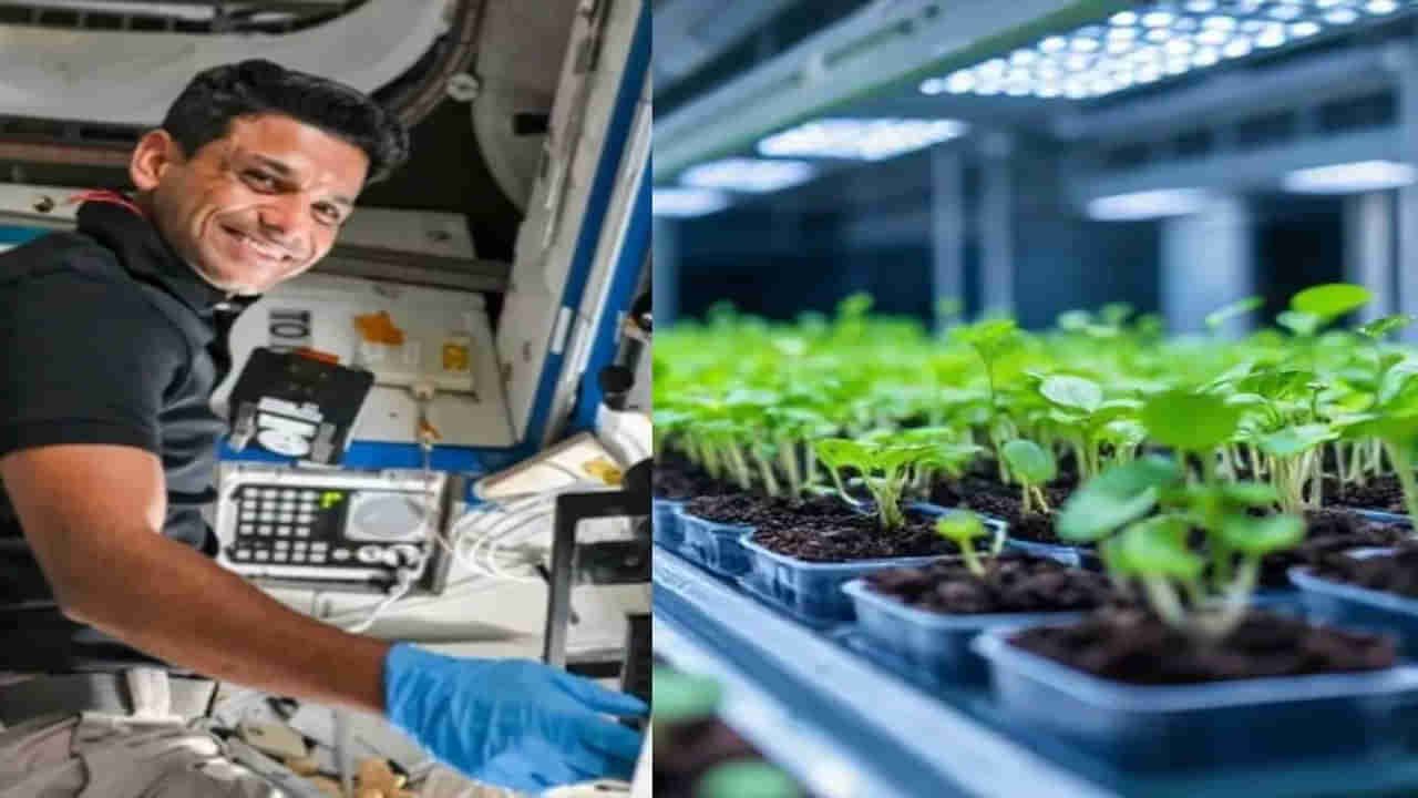 Shubhanshu Shukla: అంతరిక్షంలో మెంతులు, పెసర పంట... ఖరీఫ్‌ సీజన్‌ సేద్యం మొదలు పెట్టిన శుభాంశు