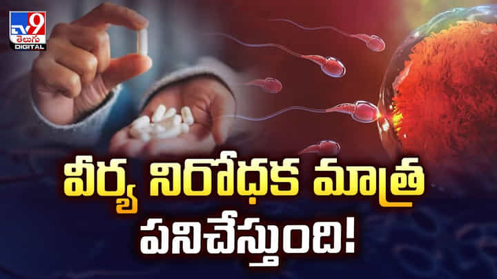 వీర్య నిరోధక మాత్ర పనిచేస్తుంది వీర్య నిరోధక మాత్ర పనిచేస్తుంది