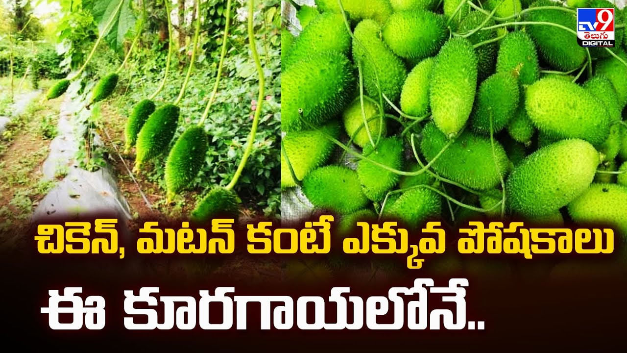 చికెన్, మటన్ కంటే ఎక్కువ పోషకాలు ఈ కూరగాయలోనే