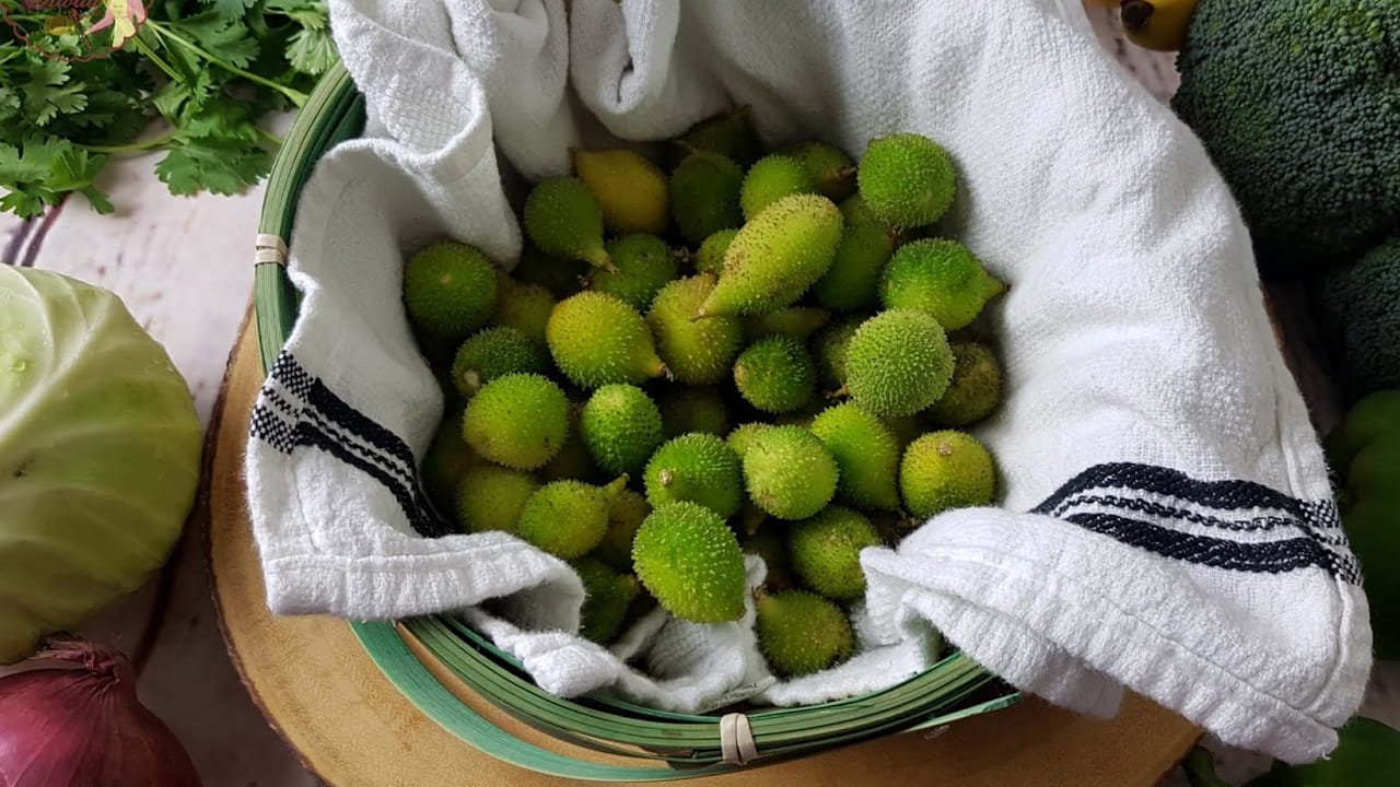 బోడ కాకరలో కాల్షియం కూడా పుష్కలంగా లభిస్తుంది. ఇది ఎముకల బలోపేతానికి సహాయపడుతుంది. ఇది వర్షాకాలంలో  జలుబు, దగ్గు, వైరల్ ఫీవర్స్ నుంచి కూడా రక్షణ కల్పిస్తుంది. ఇందులోని ఎక్కువ మోతాదులో పొటాషియం ఉన్న కారణంగా రక్తపోటును నియంత్రిస్తుంది. అందుకే బీపీ రోగులకు ఇది మంచి ఆహారం. 