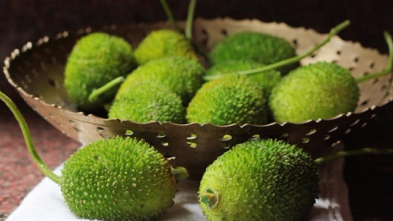 బోడకాకరను మీ రోజువారి డైట్‎లో  చేర్చుకోవడం వల్ల బరువు నియంత్రణలో ఉంటుంది. అధిక మొత్తంలోలభించే ఫైబర్ కారణంగా బోడకాకరను తినడం వల్ల త్వరగా కడుపునిండిన భావన కలుగుతుంది. ఇది మీ ఆకలిని నియంత్రిస్తుంది. ఫలితంగా జీర్ణక్రియ మెరుగుపడుతుంది.