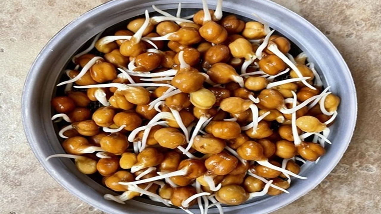 Sprouted Not Eat