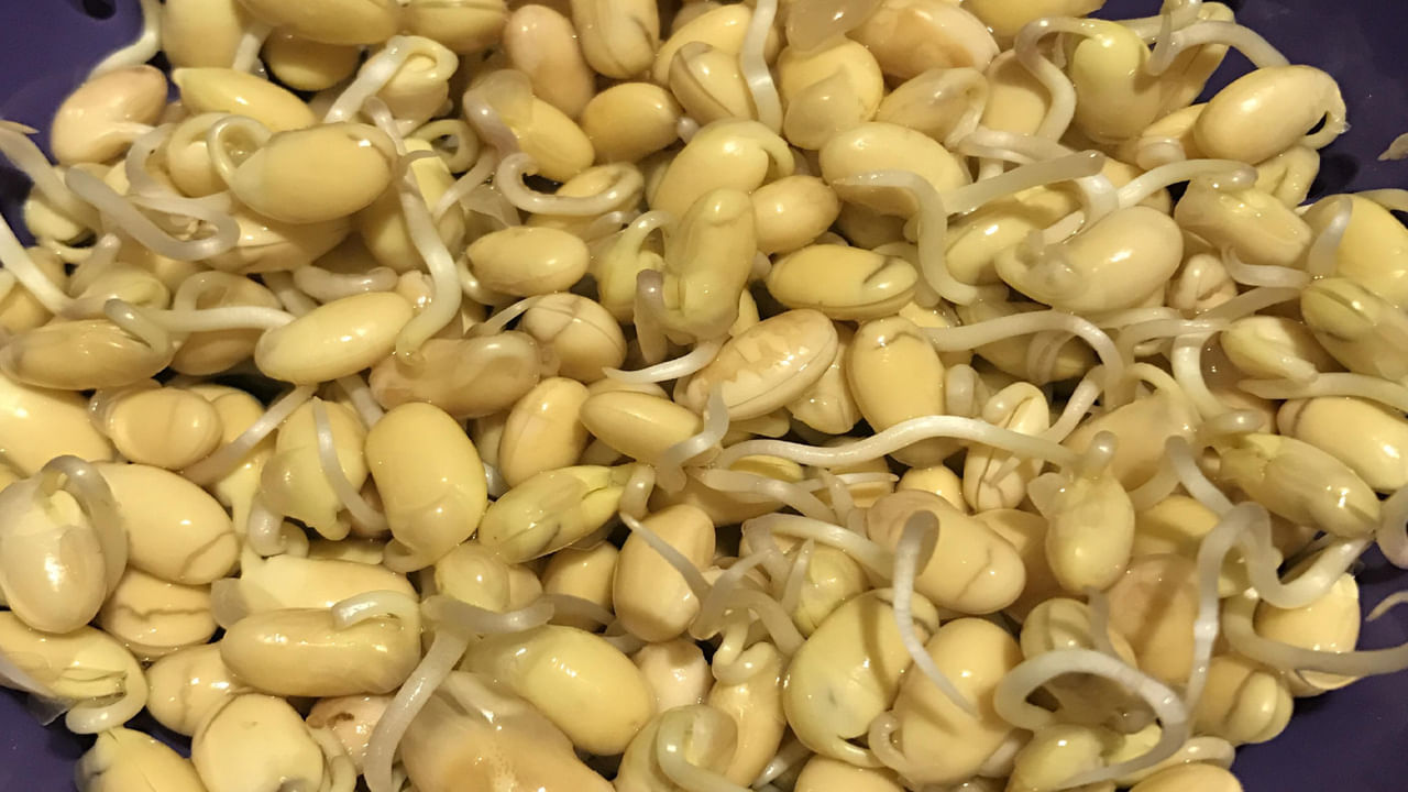 Sprouted Not Eat