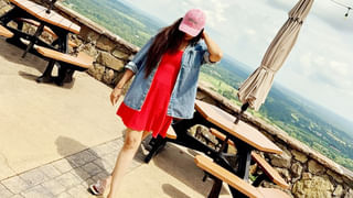 నాగార్జున, జూనియర్ ఎన్టీఆర్ కాంబోలో మిస్సైన క్రేజీ మూవీ ఇదే!