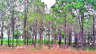 Electric Scooter: కేవలం రూ.54వేలకే 130కిమీ రేంజ్ ఇచ్చే ఎలక్ట్రిక్‌ స్కూటర్‌.. డ్రైవింగ్ లైసెన్స్ అవసరం లేదు!