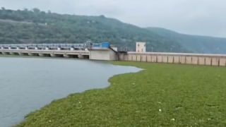 తెల్లారి అడవిలోకి వెళ్లిన యువకుడు.. ఒక్కసారిగా కదిలిన పొదలు.. భయం భయంగా.!