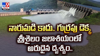 Watch Video: ఓరి దుర్మార్గుల్లారా? ఆదివారం సెలవిస్తే బ్యాంకునే ఊడ్చేశారుగా.. వీడియో