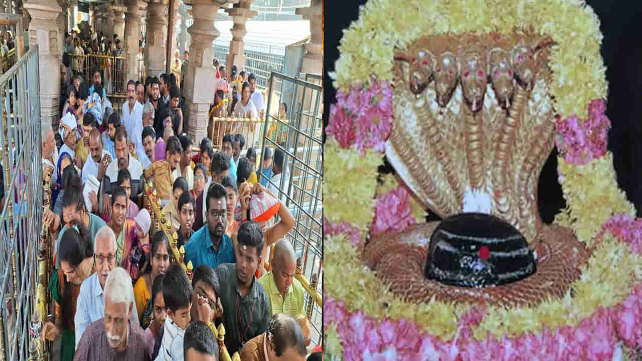 Srisailam Temple: ఎట్టకేలకు భక్తులను కరుణించిన మల్లన్న.. నేటి నుంచి ప్రీ స్పర్శ దర్శనం ప్రారంభం.. టోకెన్ విధానం అమలు