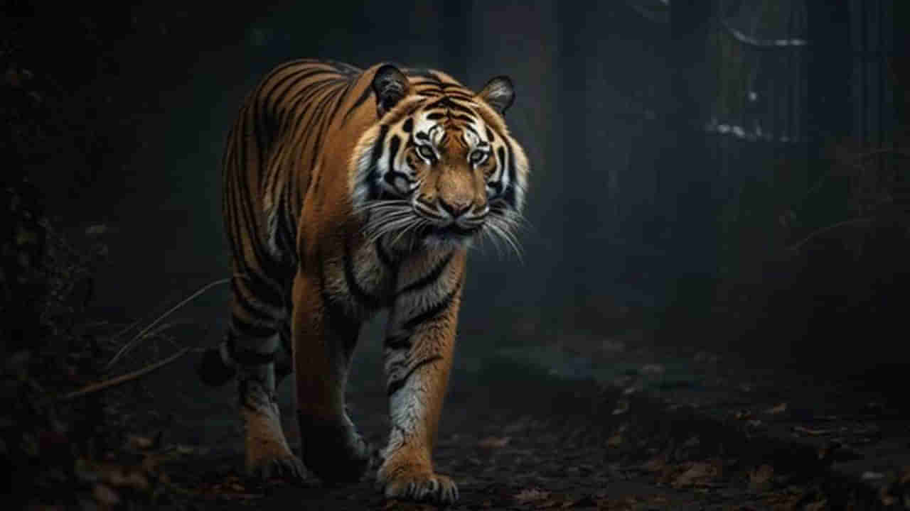 నల్లమల అడవుల్లోకి 3 నెలల పాటు ప్రవేశం నిషేధం.. ఎందుకంటే?