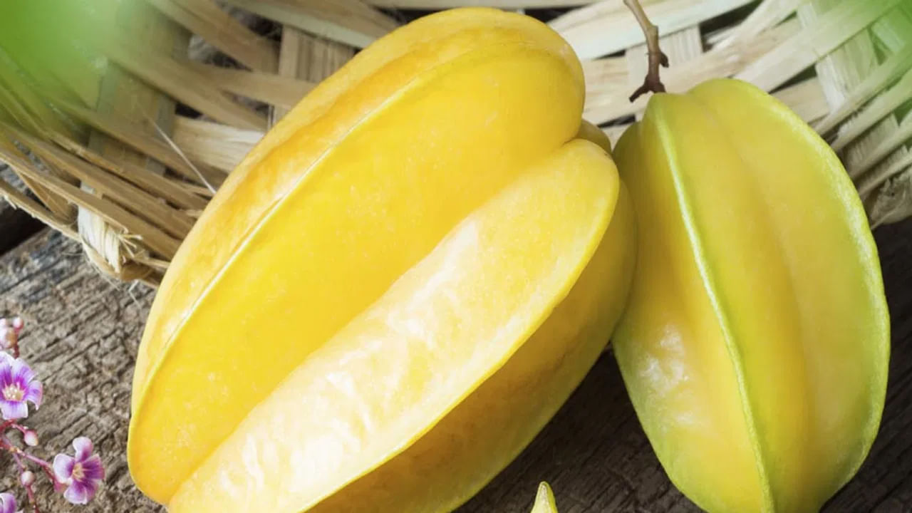 పండ్లలో స్టార్ ఫ్రూట్ ఒక ప్రత్యకమైన ఆకారంను కలిగి ఉంటుంది. నక్షత్ర ఆకారంలో కనిపించే ఈ పండు జ్యూసీ జ్యుసీగా ఉండడమే కాదు బాగా పండిన పండ్లు పసుపురంగులోకి మారి తియ్యగా ఉంటాయి. పచ్చి పండ్లు పుల్లగా ఉంటాయి. ఈ స్టార్ ప్రూట్ లో విటమిన్ ఎ, బి , సి పుష్కలంగా ఉంటాయి. వీటిని తినడం వల్ల కలిగే ఆరోగ్య ప్రయోజనాలు ఏంటో ఇప్పుడు తెలుసుకుందాం.