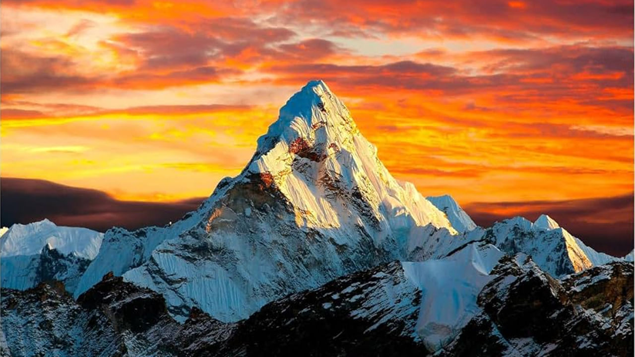 పర్వతాలు, నదులు లేదా పచ్చని ప్రకృతి దృశ్యాల పోస్టర్లు మనసుకు హాయినిస్తాయి. అలాగే మానసిక ప్రశాంతతను పెంచుతాయి. అందుకే స్టడీ రూమ్‌లో తప్పకుండా పర్వతాలు,నదులు, ప్రకృతికి సంబంధించిన పోస్టర్లు పెట్టుకోవాలంట. ఇది చాలా మంచిదని చెబుతున్నారు పండితులు. వీటిని స్టడీ రూమ్‌లో ఉత్తర దిశగా పెట్టుకోవడం వలన గదిలోకి పాజిటివ్ ఎనర్జీవస్తుందంట.