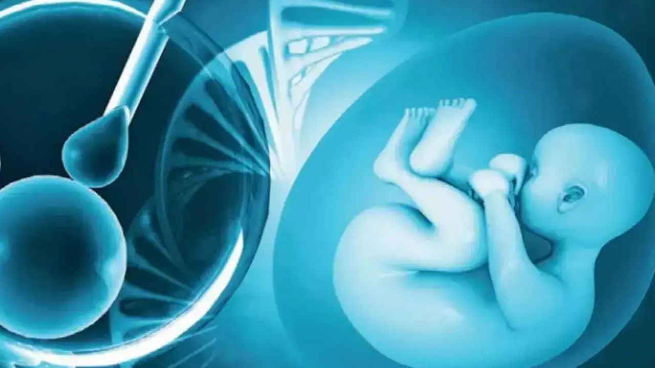 సంతాన ఆశలో మోసపోతున్నారా? ఇదీ నిజ పరిస్థితి!