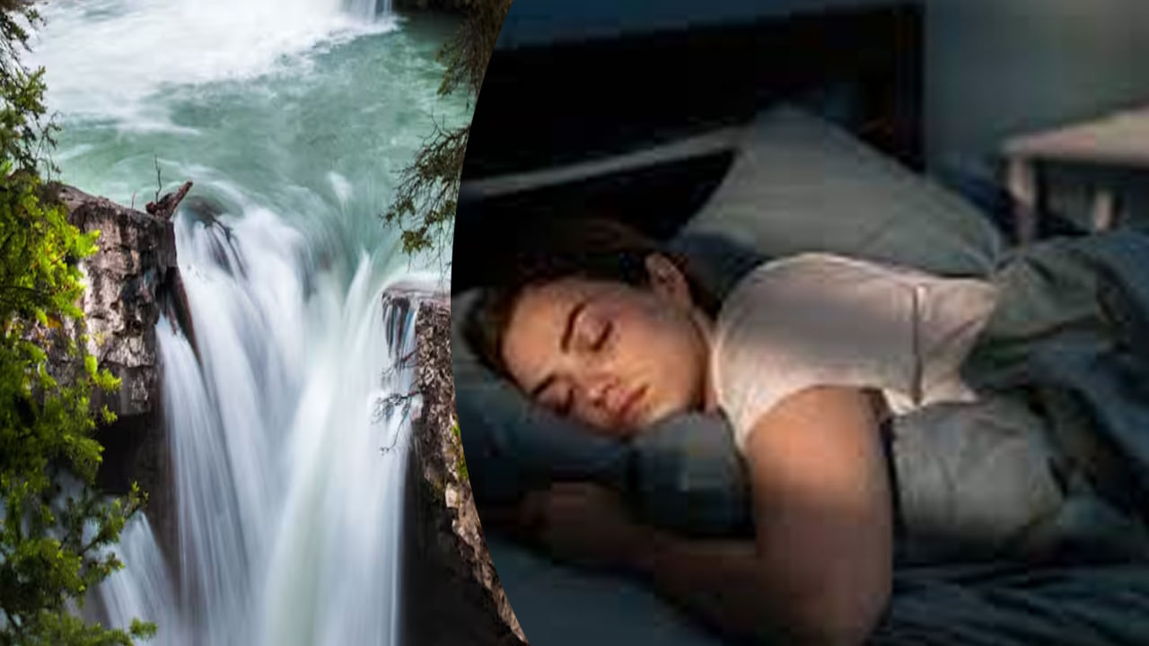 Swapna Shastra: తెల్లవారుజామున కలలో ఇవి కనిపించాయా.. మీ భవిష్యత్తు బంగారుమయం అని అర్ధమట..