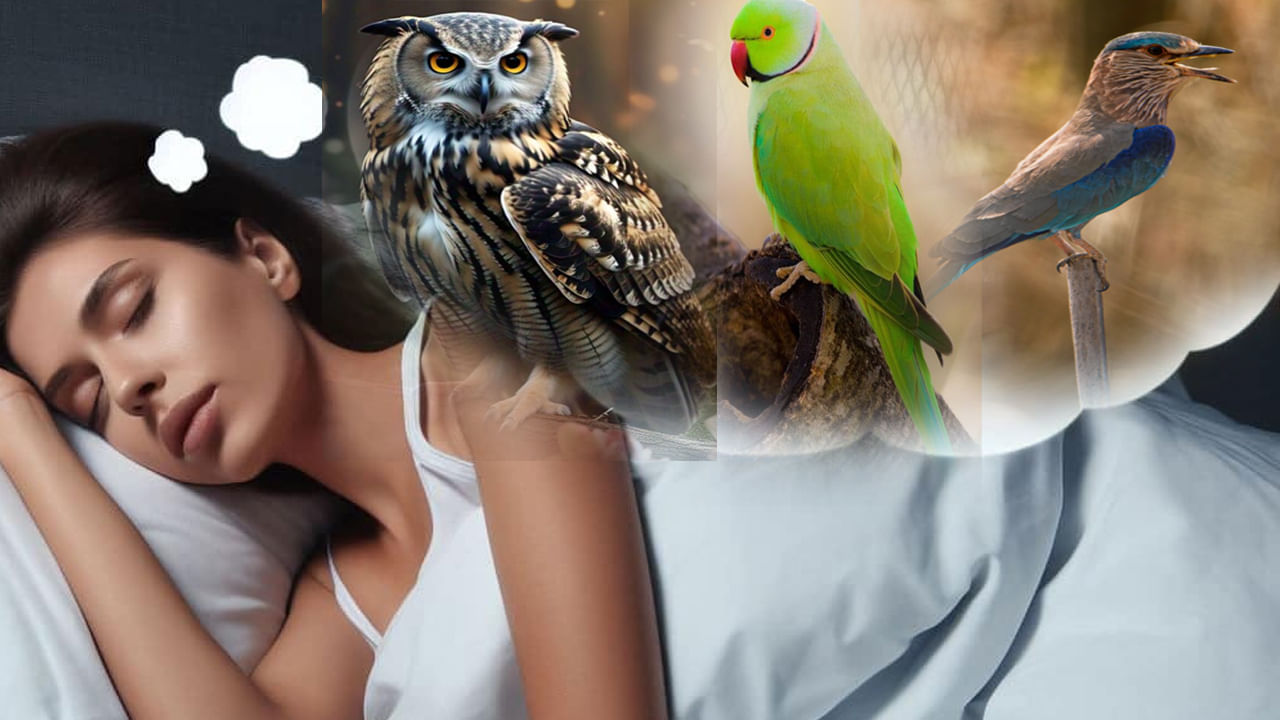 Swapna Shastram: కలలో ఈ పక్షులు కనిపిస్తే మీకు మంచి రోజులు వచ్చాయని అర్ధమట.. లక్ష్మీదేవి అనుగ్రహం మీపై ఉన్నదట