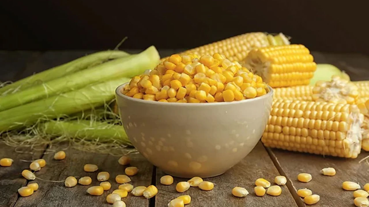 జీర్ణ ఆరోగ్యానికి కూడా చాలా ఉపయోగకరంగా ఉంటుంది. స్వీట్ కార్న్ తినటం వల్ల మలబద్ధకం వంటి కడుపు సంబంధిత సమస్యలను తగ్గించడంలో సహాయపడుతుంది. మొక్కజొన్నలో కరిగే ఫైబర్ కూడా ఉంటుంది, ఇది కొలెస్ట్రాల్ స్థాయిలను తగ్గించడంలో సహాయపడుతుంది. 