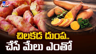 చికెన్, మటన్ కంటే ఎక్కువ పోషకాలు ఈ కూరగాయలోనే