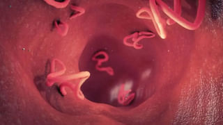 Rice: నెల రోజుల పాటు అన్నం మానేస్తే ఏం జరుగుతుందో తెలుసా..? తెలిస్తే అవాక్కే..